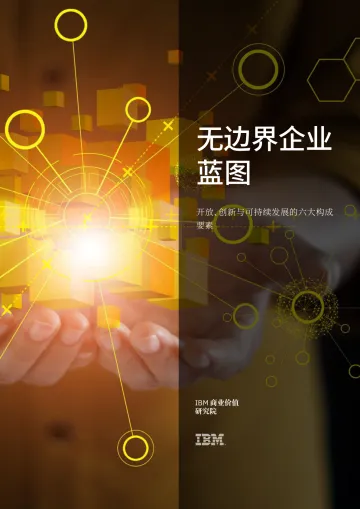 IBM-无边界企业成为新一代组织和运营模式-111页