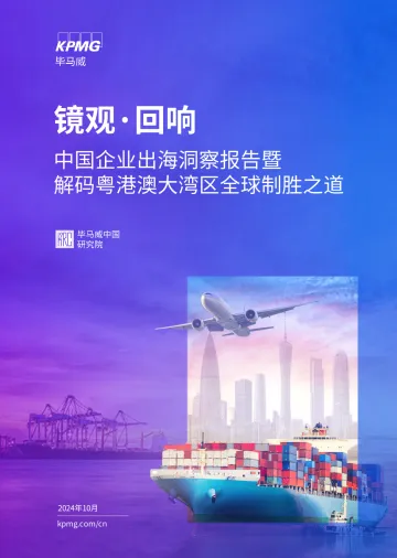 中国企业出海洞察报告 听光vic_1