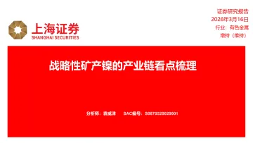 有色金属:战略性矿产镍的产业链看点梳理-上海证券 听光Vic_1