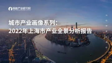 城市产业画像系列:2022年上海市产业全景分析报告-前瞻产业研究院-2022-110页
