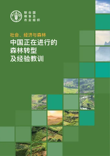 《社会、经济与森林:中国正在进行的森林转型及经验教训》中-44页