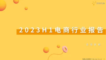 2023H1电商行业报告-45页-WN10
