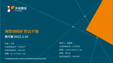 铜专题:调整铜精矿供需平衡-20220510-天风期货-22页