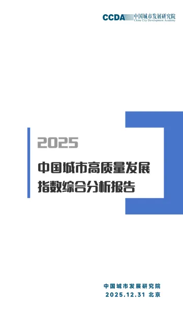 2025城市高质量发展指数综合分析报告 听光Vic_1