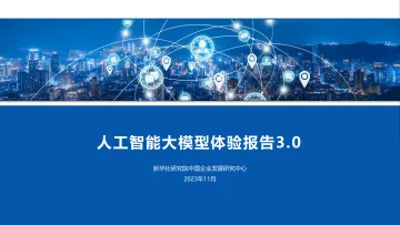 人工智能大模型体验报告3-WN11