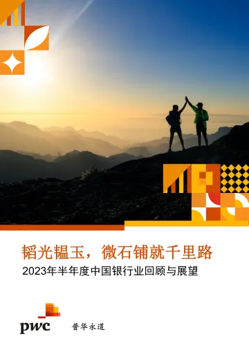 韬光韫玉,微石铺就千里路-2023年半年度中国银行业回顾与展望-2023.10-67页-WN10