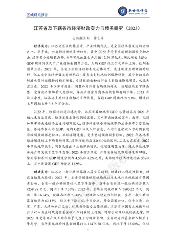 新世纪评级-江苏省及下辖各市经济财政实力与债务研究（2023）-28页-WN11