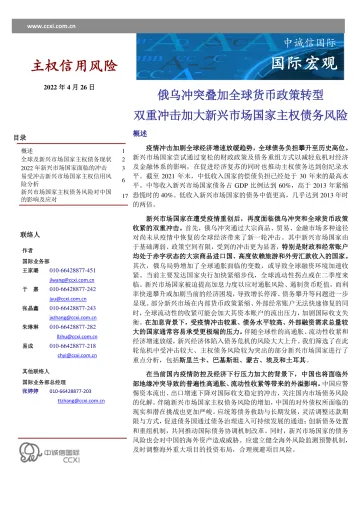 中诚信-新兴市场国家债务专题报告-19页