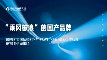 “乘风破浪”的国产品牌-前瞻产业研究院-2022-54页