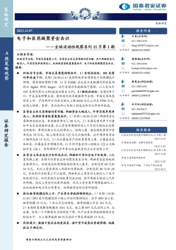 全球流动性观察系列11月第1期：电子和医药凝聚资金共识-20231107-国泰君安-26页