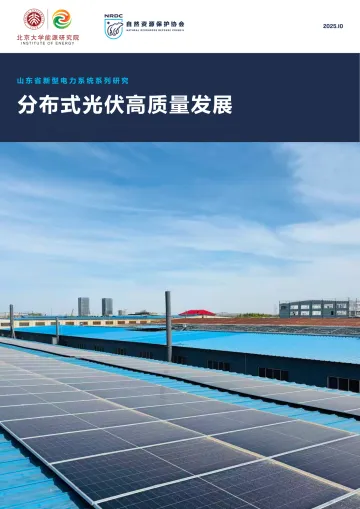 山东省新型电力系统系列研究:分布式光伏高质量发展-自然资源保护协会 听光Vic