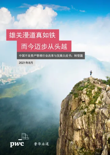 普华永道-中国不良资产管理行业改革与发展白皮书：转型篇-72页