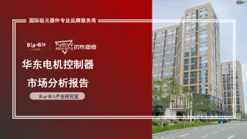 华东电机控制器市场分析报告 听光Vic
