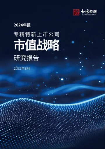 专精特新上市公司市值战略研究报告(2024年报)-和恒咨询 听光Vic