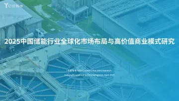 2025中国储能行业全球化市场布局与高价值商业模式研究-亿欧智库 听光Vic_1