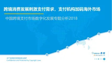 中国跨境支付市场数字化发展专题分析