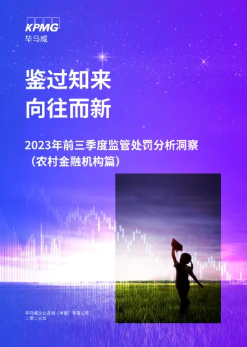 毕马威-2023年前三季度监管处罚分析洞察(农村金融机构篇)-14页-WN11