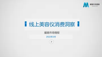 线上美容仪消费洞察-29页
