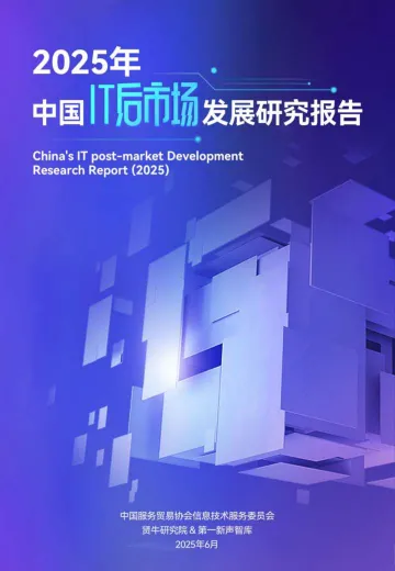 2025年中国IT后市场发展研究报告-北京第一新声信息咨询 听光Vic