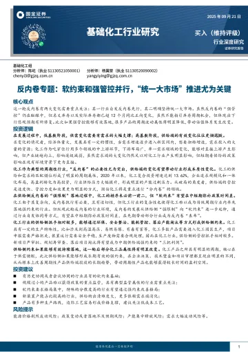 基础化工行业研究:反内卷专题:软约束和强管控并行,“统一大市场”推进尤为关键-国金证券 听光Vic