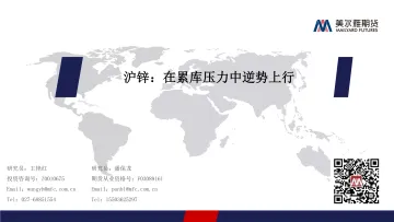 沪锌:在累库压力中逆势上行-20220402-美尔雅期货-17页