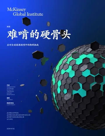 难啃的硬骨头:应对全球能源转型中的物理挑战-15页_1