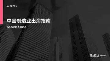 2024中国制造业出海指南-思必达-45页