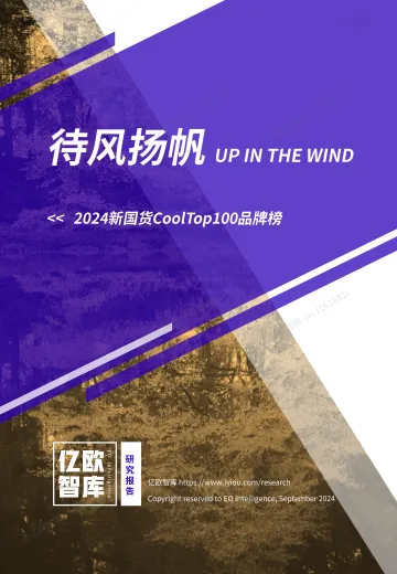 【亿欧智库】2024新国货CoolTop100品牌榜-v1.0