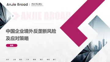 2024年中国企业境外反垄断风险及应对策略报告 听光Vic_1
