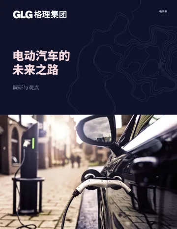 电动汽车的未来之路-2023.11-30页-WN11