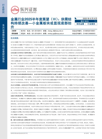 金属行业2025半年度展望（Ⅲ）：供需结构持续改善—小金属板块或显现底部抬升-东兴证券 听光Vic