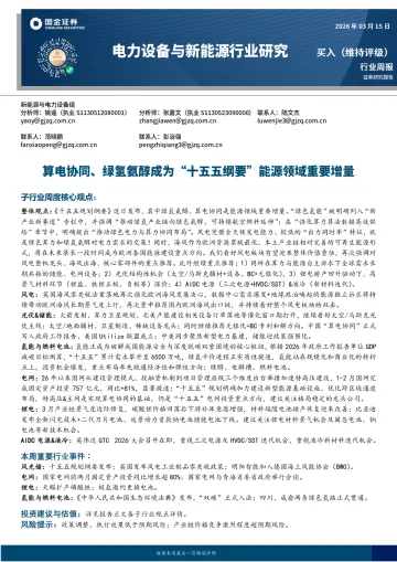 电力设备与新能源行业研究:算电协同、绿氢氨醇成为“十五五纲要”能源领域重要增量-国金证券 听光Vic