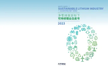 净零排放目标下可持续锂业白皮书2023-45页-WN11