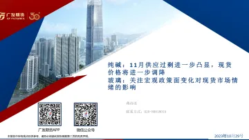 纯碱:11月供应过剩进一步凸显,现货价格将进一步调降,玻璃,关注宏观政策面变化对现货市场情绪的影响-20231029-广发期货-39页