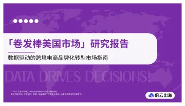「卷发棒美国市场」研究报告-蔚云出海(广州)企业咨询 听光Vic_1