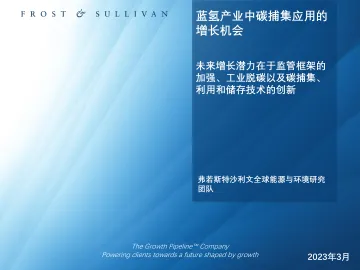 沙利文+2023年全球蓝氢产业中碳捕集应用的增长机会研究报告-94页-WN10