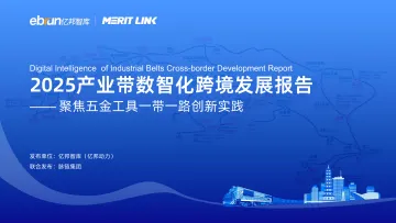 2025产业带数智化跨境发展报告:聚焦五金工具一带一路创新实践 听光Vic_1