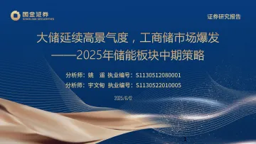 2025年储能板块中期策略:大储延续高景气度,工商储市场爆发-国金证券 听光Vic_1
