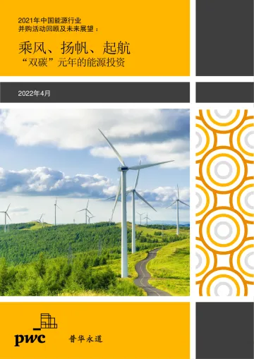 2021年中国能源行业:“双碳”元年驱动投资热潮,扬帆起航正当时-普华永道-2022.4-39页