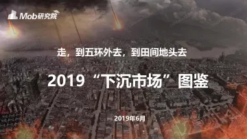 2019 “下沉市场” 图鉴