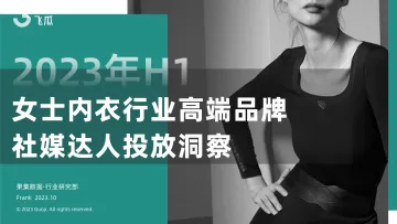 2023年H1女士内衣行业高端品牌社媒达人投放洞察-果集行研-2023.11-22页-WN11