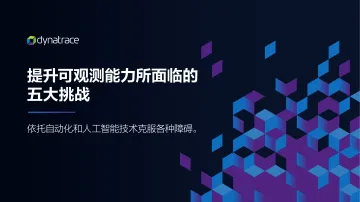 实现大规模可观测性所面临的5大挑战-2023.10-28页-WN11