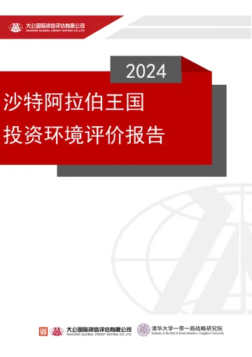 沙特阿拉伯王国投资环境评价报告-大公国际资信评估有限公司-2024-25页 听光Vic