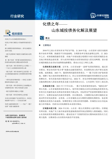 化债之年——山东城投债务化解及展望研究报告-12页_1