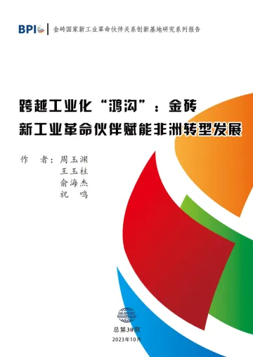 跨越工业化“鸿沟”-金砖新工业革命伙伴赋能非洲转型发展-2023.11-36页-WN11