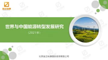 2021世界与中国能源转型发展研究报告-金正纵横