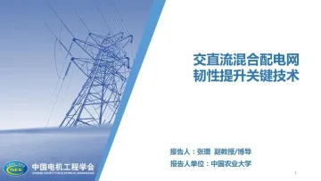 交直流混合配电网韧性提升关键技术(2023)-2023.10-25页-WN11