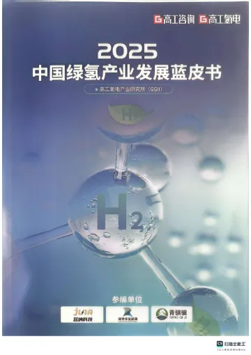 2025中国绿氢产业发展蓝皮书-深圳市高工咨询 听光Vic