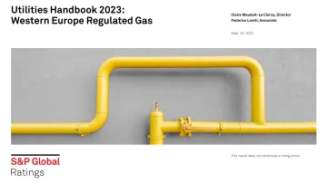 标普+公用事业手册2023:西欧管制气体-英-63页-WN10