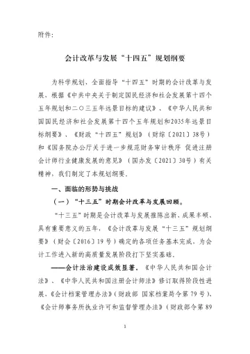 《会计改革与发展“十四五”规划纲要》